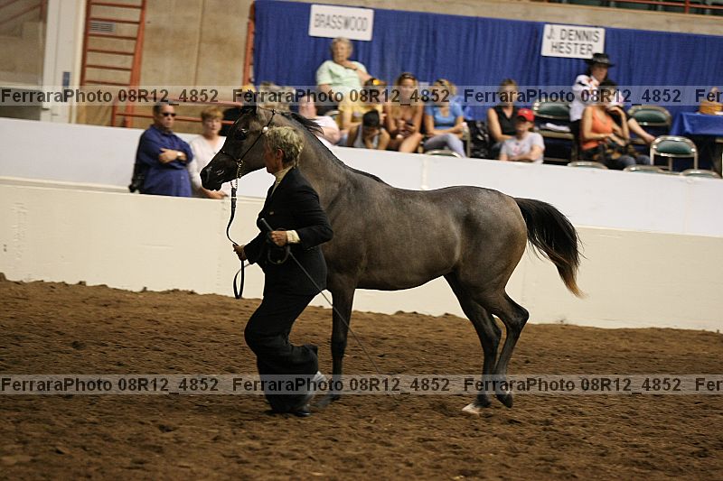 Proof 08r12_4852
