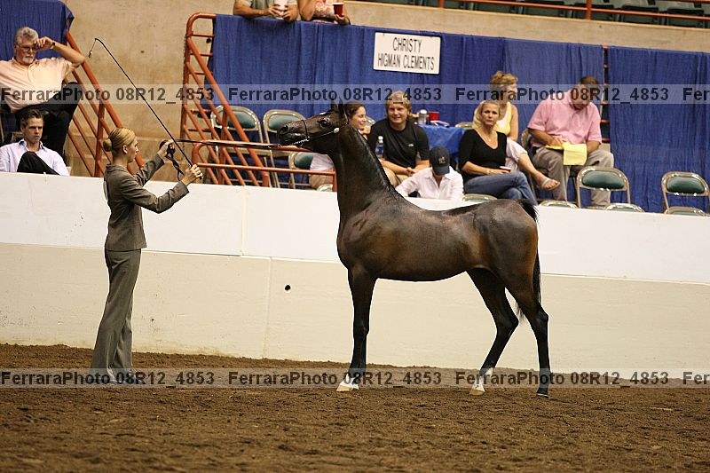 Proof 08r12_4853