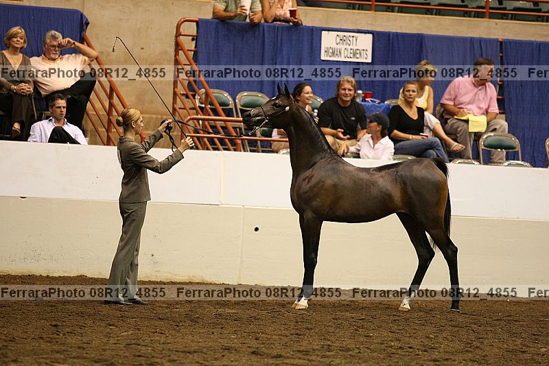 Proof 08r12_4855