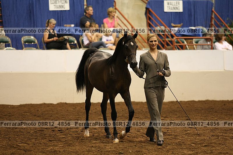 Proof 08r12_4856