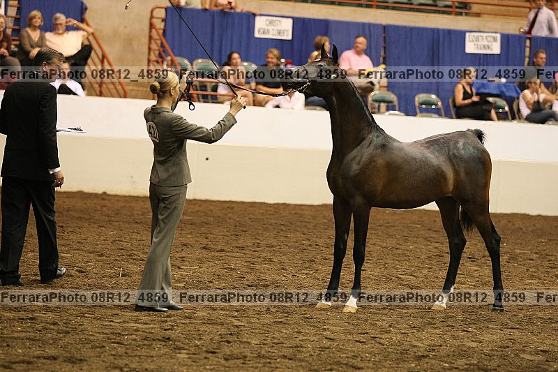 Proof 08r12_4859