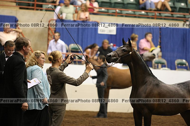 Proof 08r12_4860