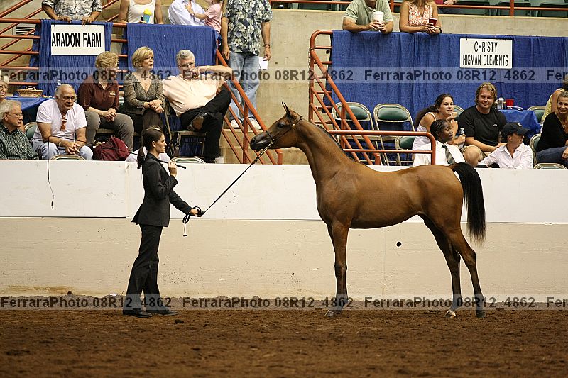 Proof 08r12_4862