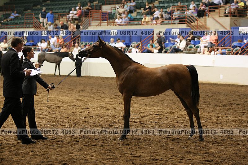 Proof 08r12_4863