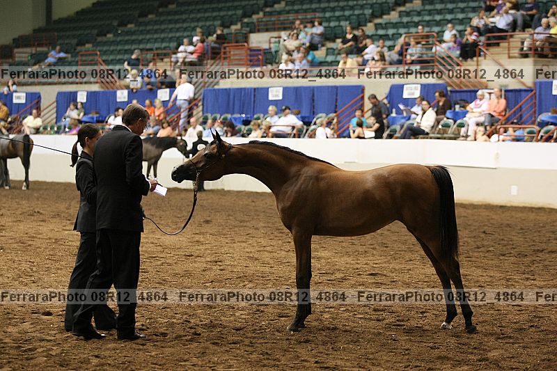 Proof 08r12_4864