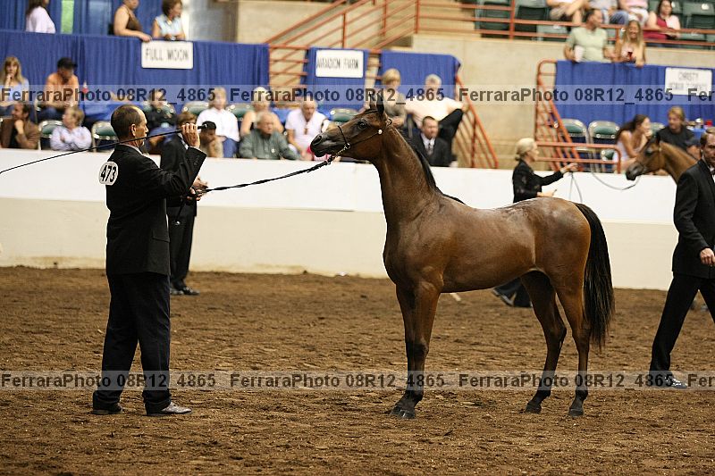 Proof 08r12_4865