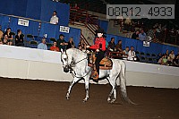 08r12_4933 proof