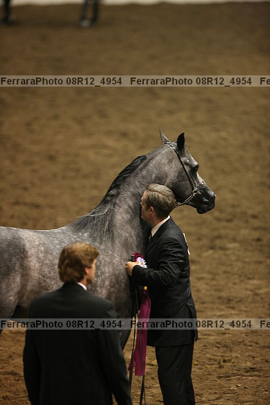 Proof 08r12_4954