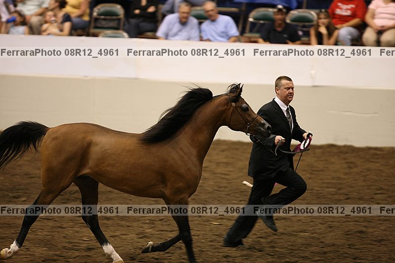 Proof 08r12_4961