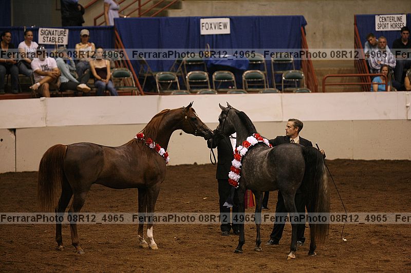 Proof 08r12_4965