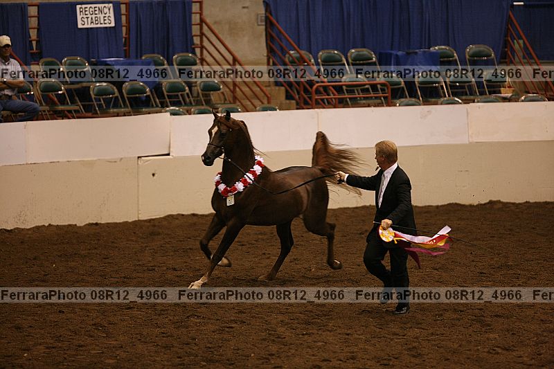 Proof 08r12_4966