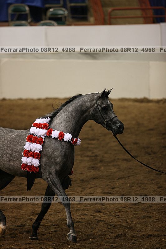 Proof 08r12_4968