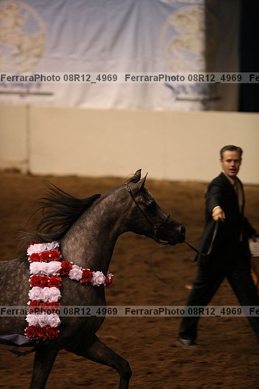 Proof 08r12_4969