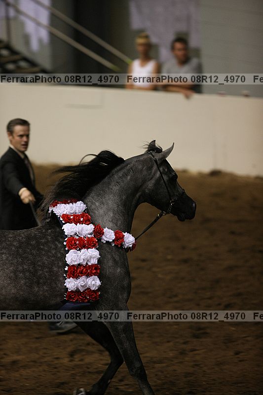 Proof 08r12_4970