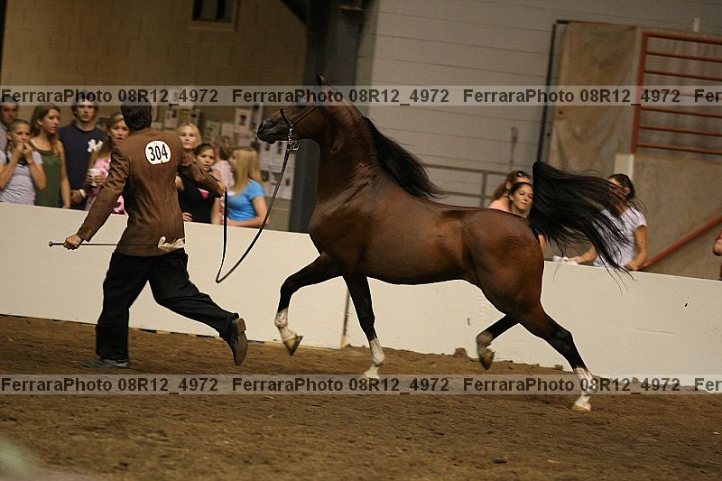 Proof 08r12_4972