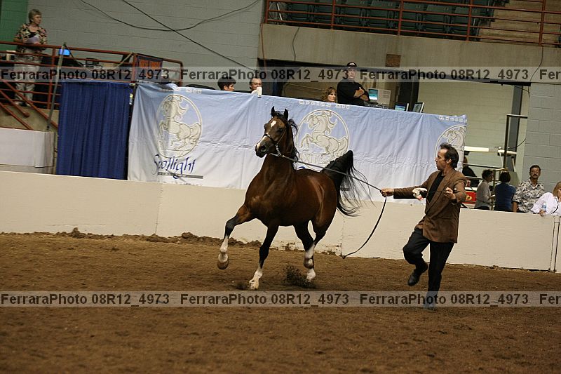 Proof 08r12_4973