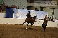 08r12_4973 proof
