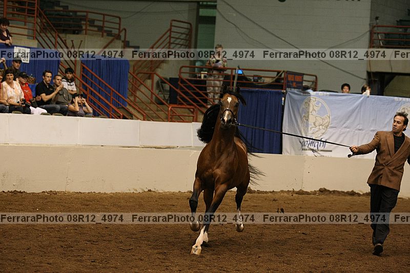Proof 08r12_4974