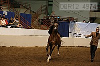 08r12_4974 proof