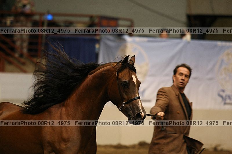 Proof 08r12_4975