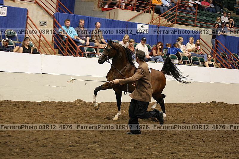 Proof 08r12_4976