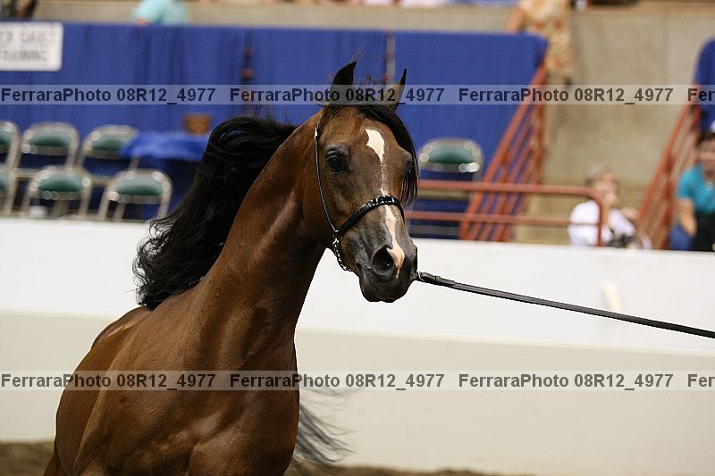 Proof 08r12_4977