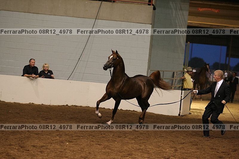 Proof 08r12_4978