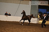 08r12_4978 proof