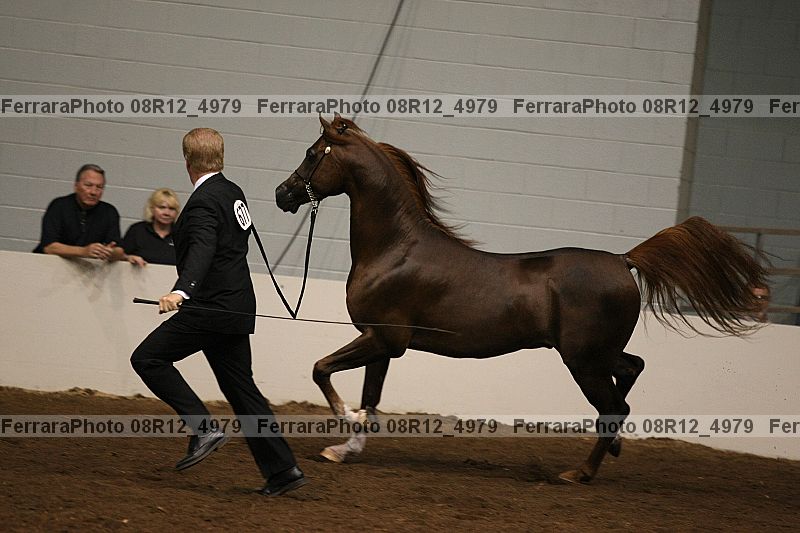 Proof 08r12_4979