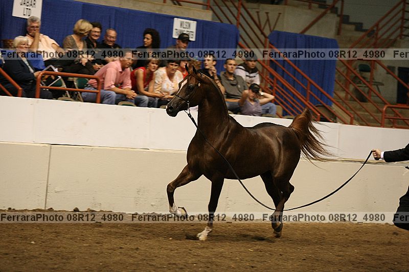 Proof 08r12_4980