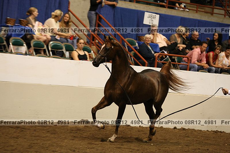 Proof 08r12_4981