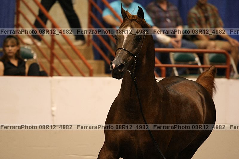 Proof 08r12_4982