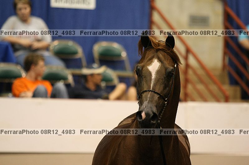 Proof 08r12_4983