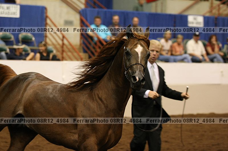 Proof 08r12_4984