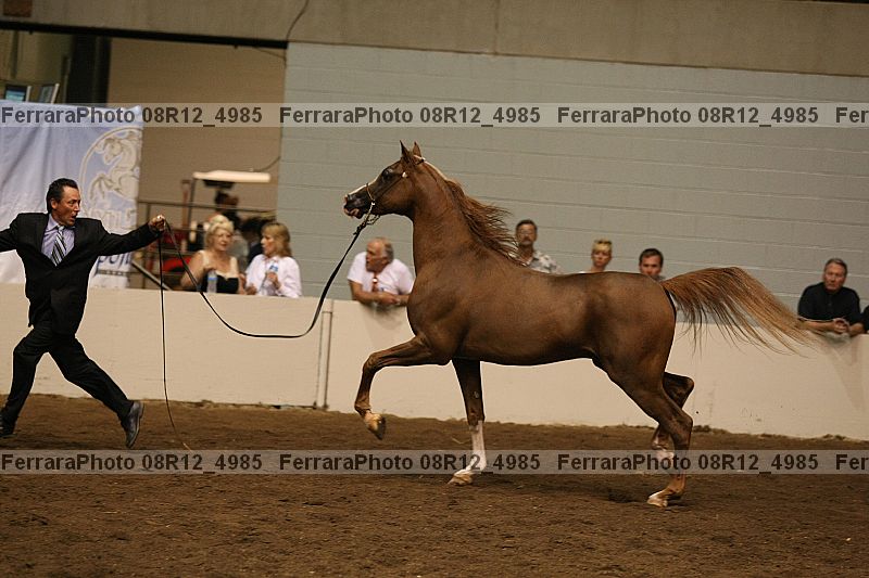 Proof 08r12_4985
