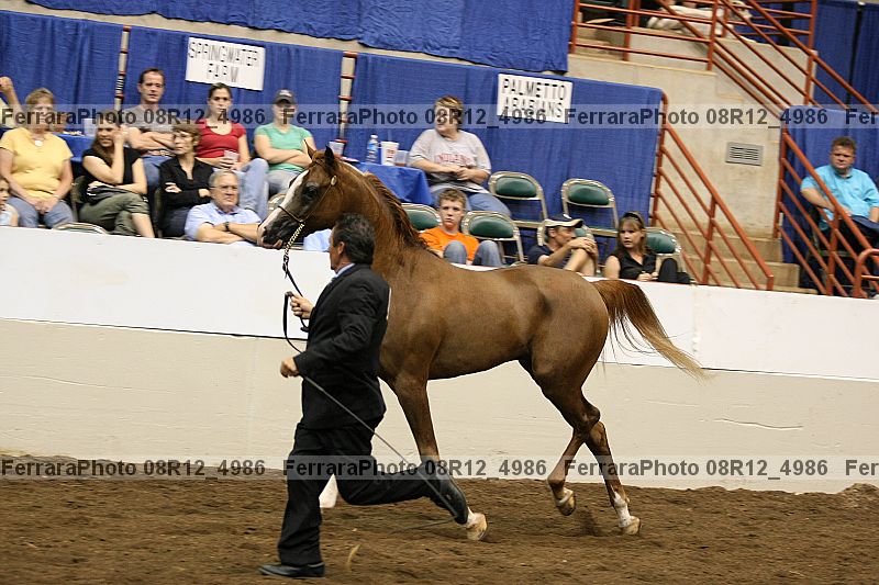 Proof 08r12_4986
