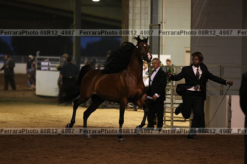 Proof 08r12_4987