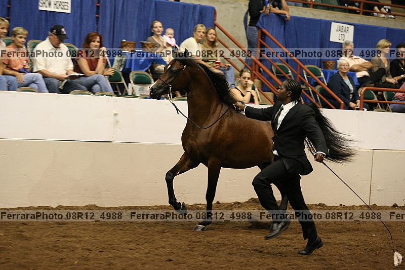Proof 08r12_4988