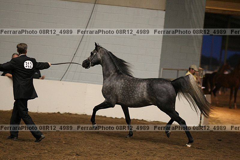 Proof 08r12_4989