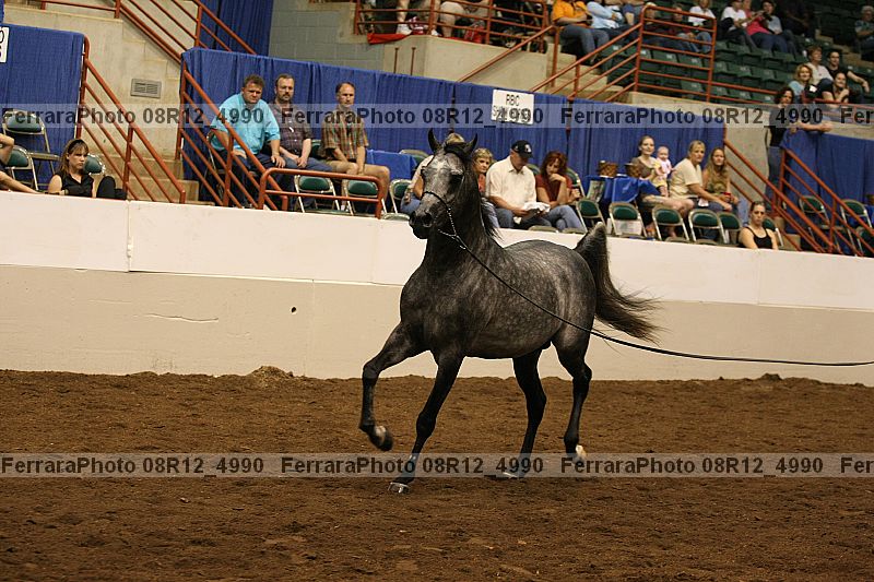 Proof 08r12_4990