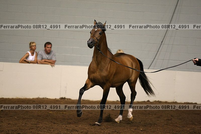 Proof 08r12_4991