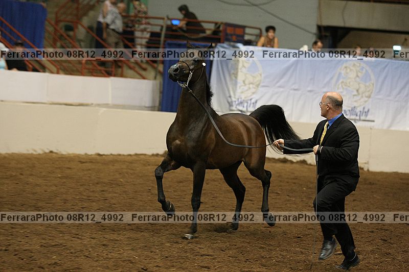 Proof 08r12_4992