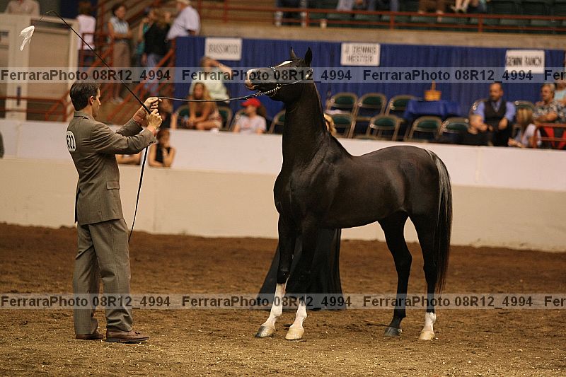 Proof 08r12_4994
