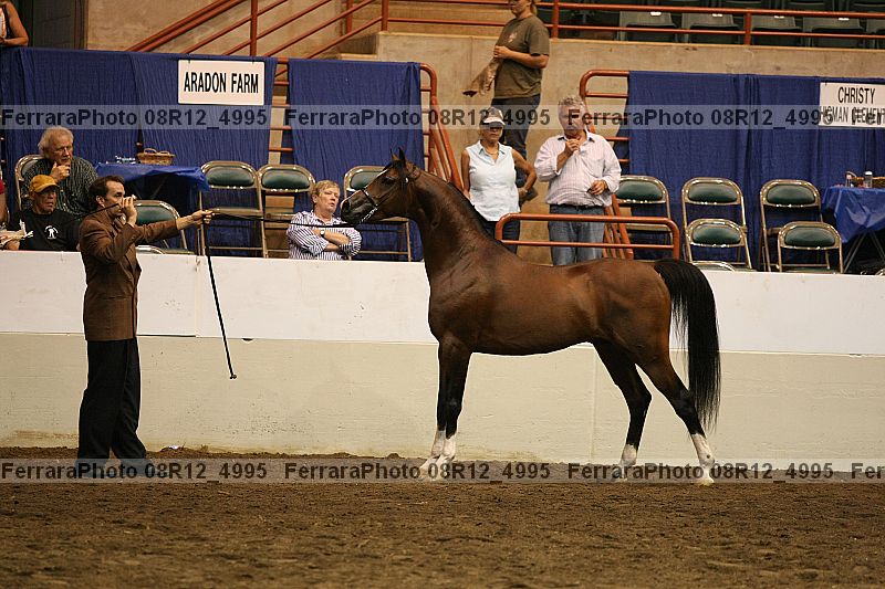Proof 08r12_4995