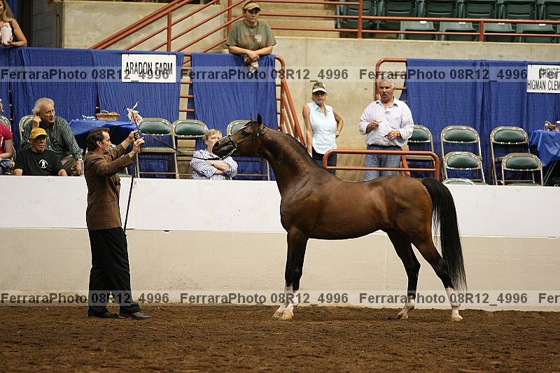 Proof 08r12_4996