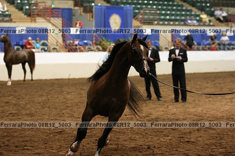 Proof 08r12_5003