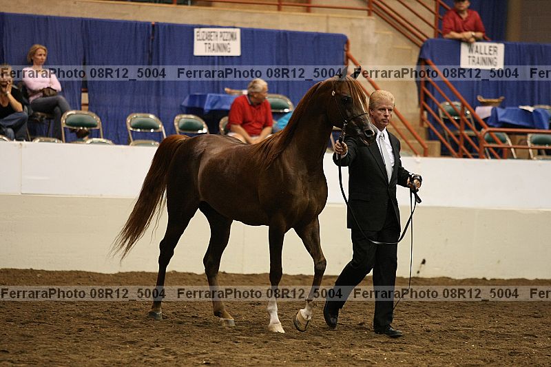 Proof 08r12_5004