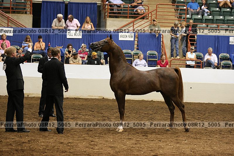 Proof 08r12_5005