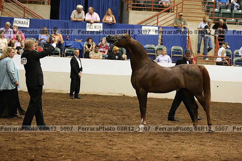 Proof 08r12_5007