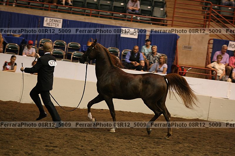 Proof 08r12_5009